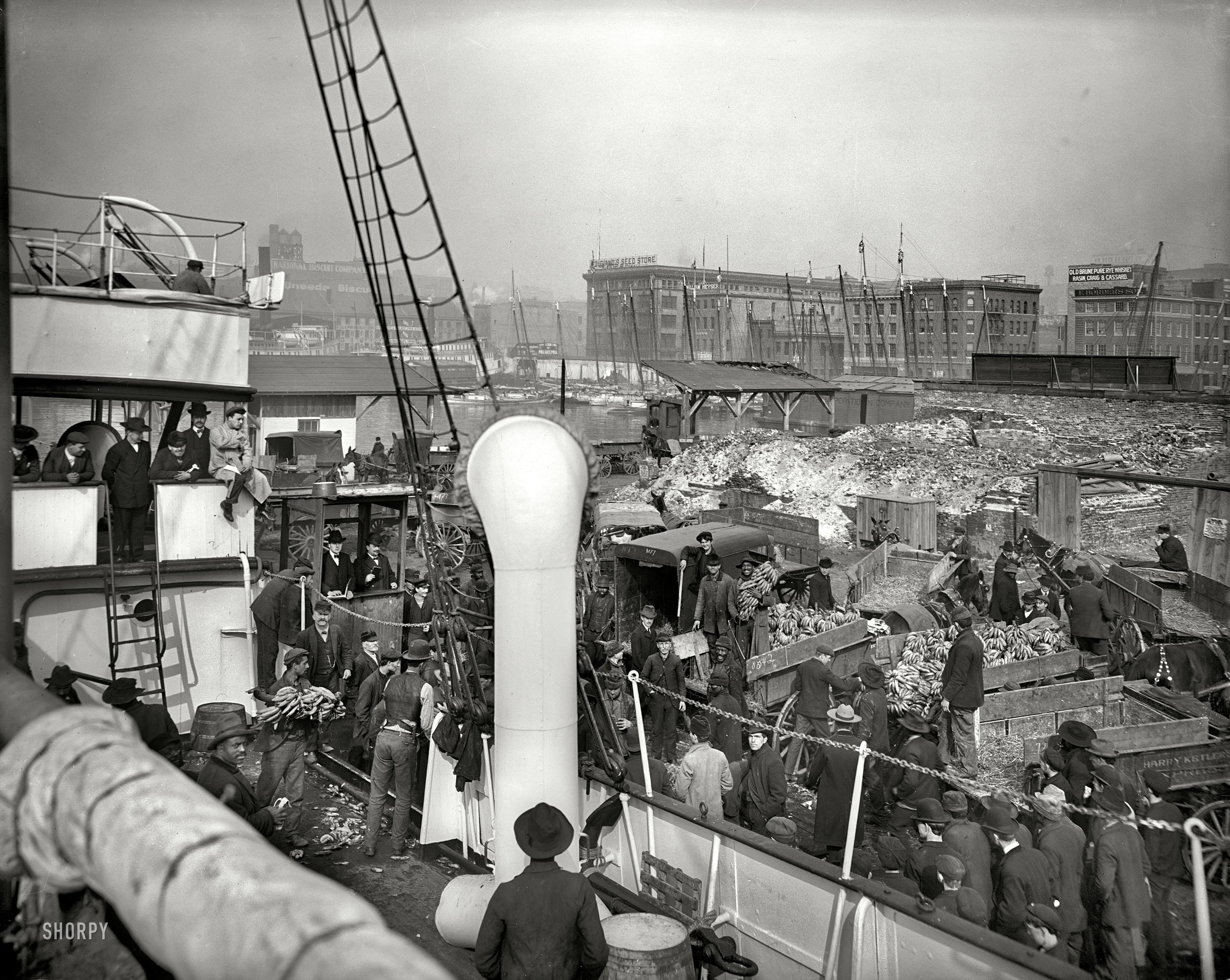United Fruit Company Baltimore docks — the maritime world Captain Wilmer Davison navigated as master of the steamer Barnstable